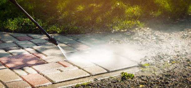 Best Roof Cleaning and Mildew Removal in South Amboy, NJ